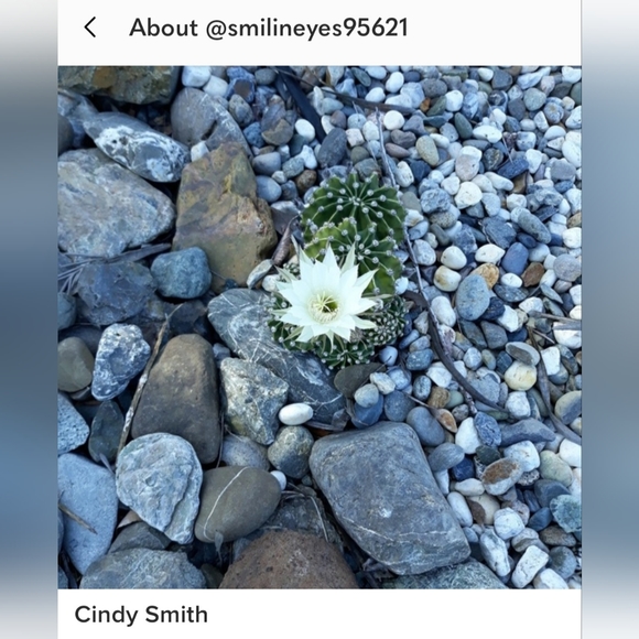 WOMEN SUPPORTING WOMEN SUPER BOWL 34th MARATHON 🏈FEBRUARY 9TH🏈 - Picture 14 of 15